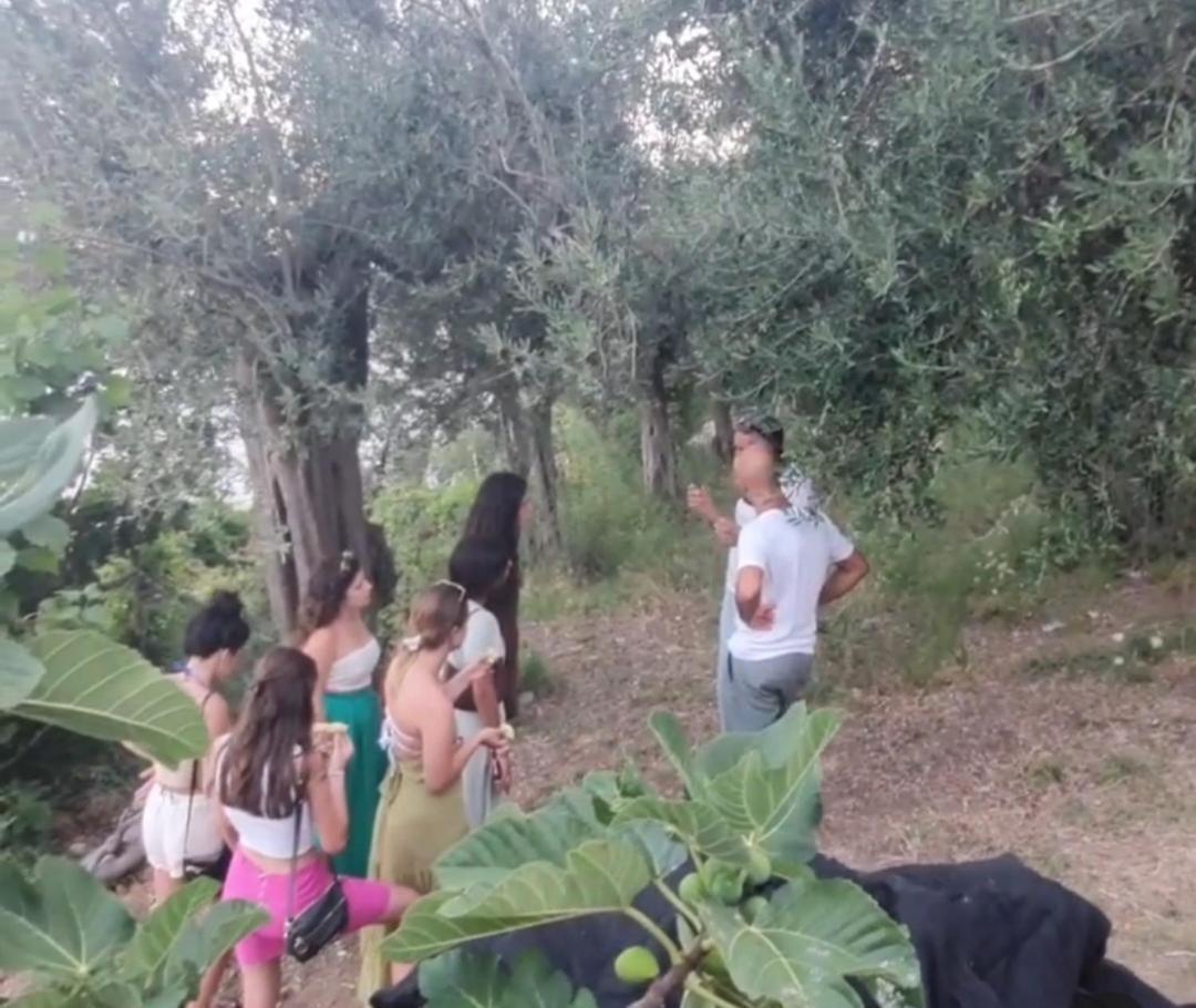 Agriturismo Fuoco D'Amalfi Villa Iazzetta Exterior foto